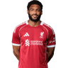 Joe Gomez